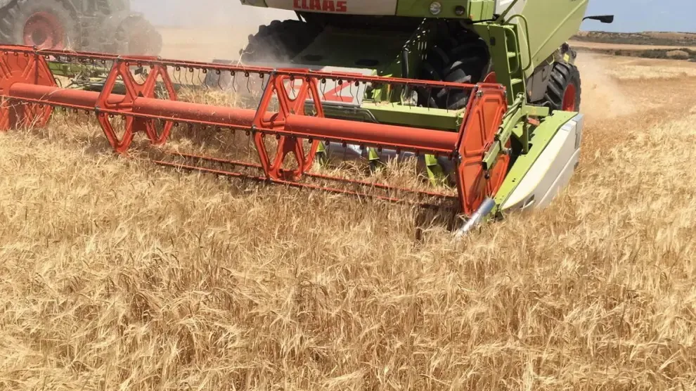 Los sindicatos agrarios prevén que la cosecha de cereal sea en Huesca un 28 % inferior a la del año pasado