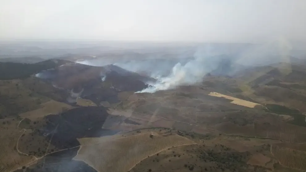 Estabilizado el incendio forestal de Castejón de Alarba
