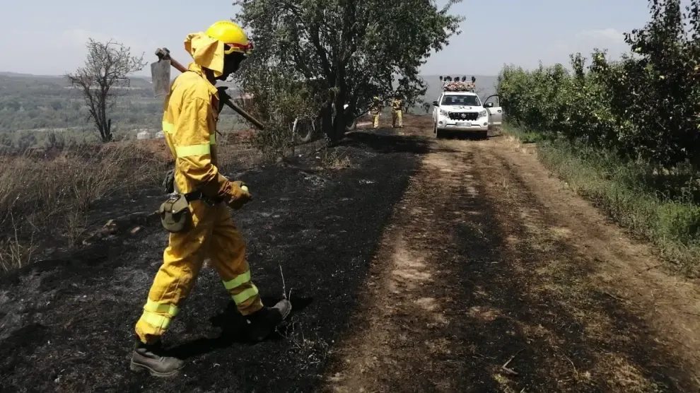 Aragón registra más de 1.200 hectáreas quemadas en 6 meses