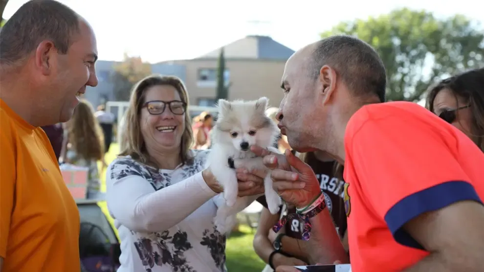Cerca de 500 personas disfrutan en el Evento Canino de Brotalia
