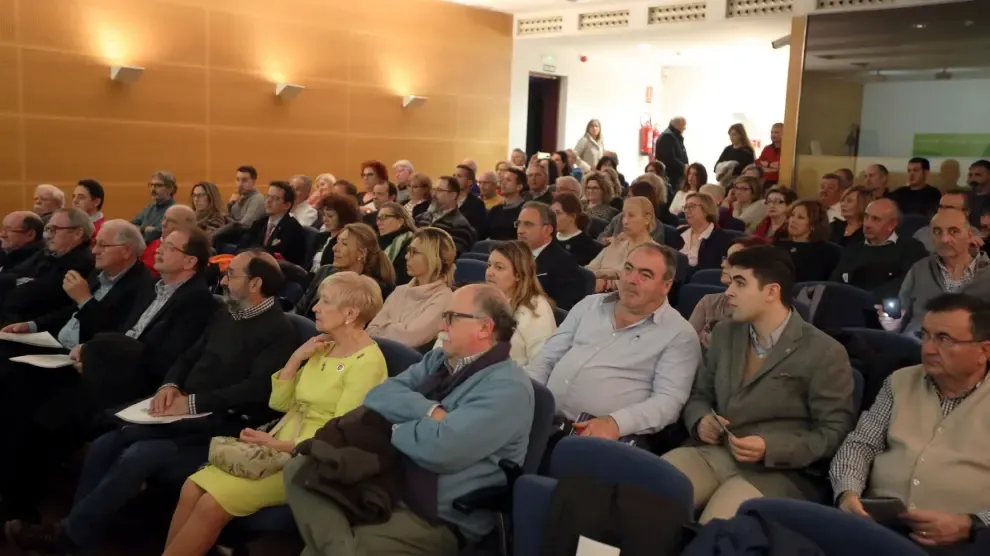 Huesca Suena pide trasladar una consejería al Alto Aragón