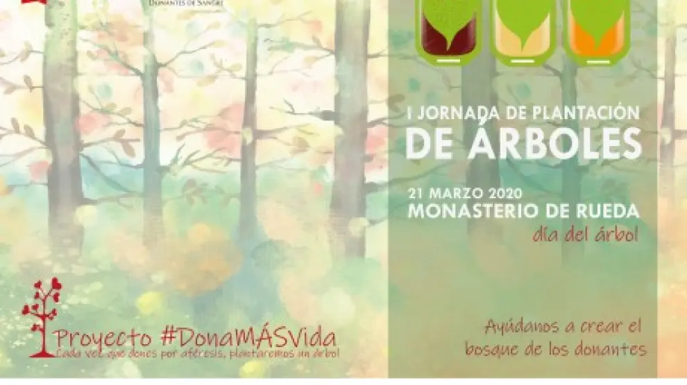 El Banco de Sangre y Tejidos de Aragón plantará un árbol por cada donación de aféresis