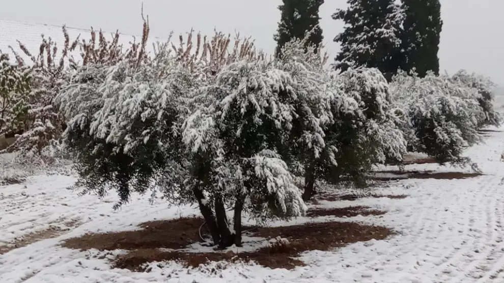 La nieve sorprende en cotas bajas del centro y sur de la provincia de Huesca