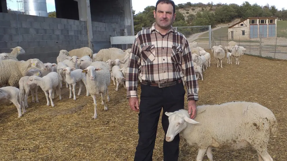 Productores de ovino urgen ayudas para el sector para afrontar la crisis generada por el coronavirus