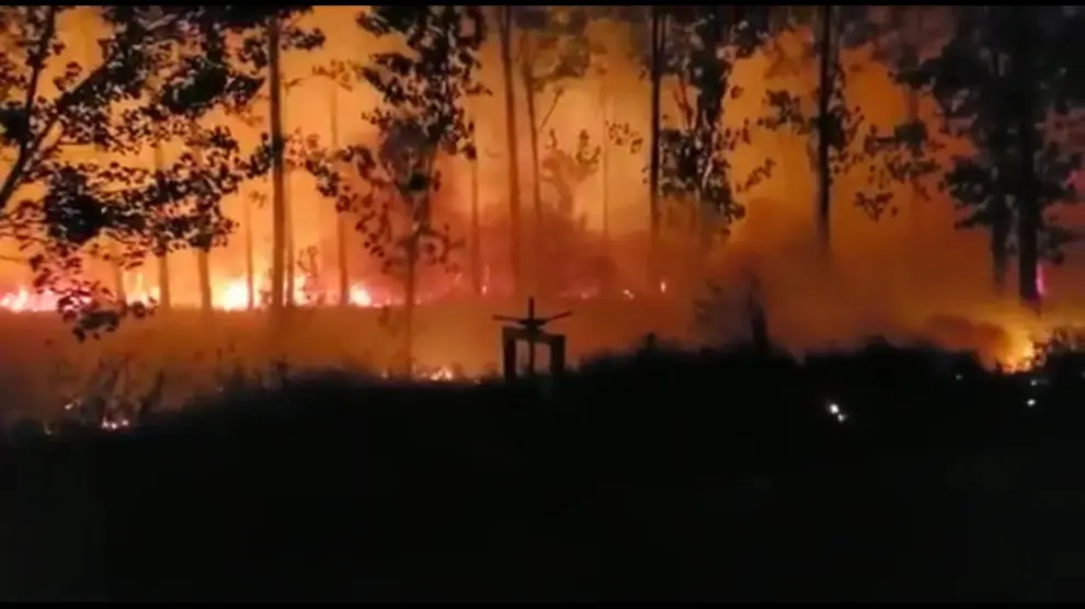 Espectacular incendio en una chopera en las inmediaciones de Monzón