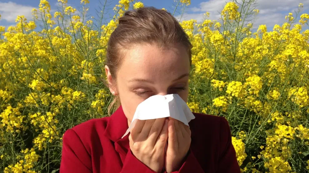¿Sufres de alergia?