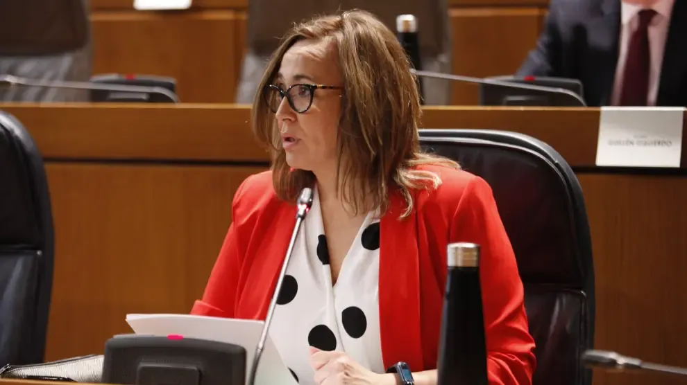 Mayte Pérez anuncia para 2021 un plan de protección ante enfermedades contagiosas en Aragón