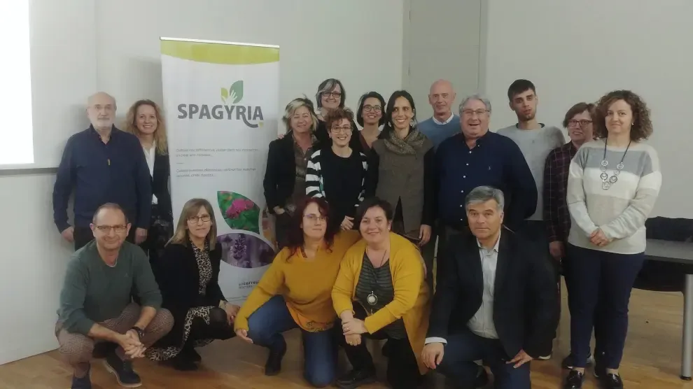 La novena reunión del Comité de gestión y Coordinación del Proyecto Spagyria se celebra a distancia