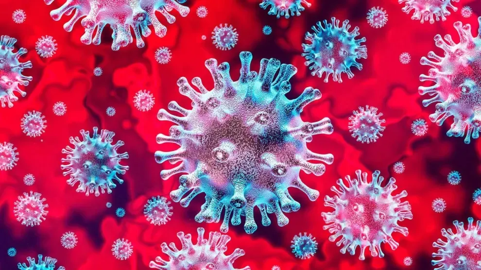 El coronavirus del resfriado común podría generar inmunidad cruzada en la población