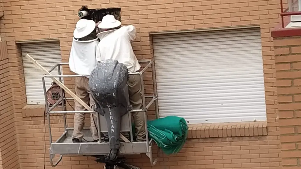 Retiran un enjambre de abejas en la fachada de un edificio en Huesca