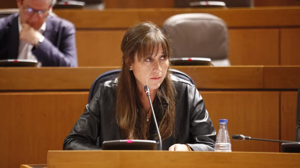Repollés prevé recuperar cifras "razonables" de listas de espera en Aragón en 2022