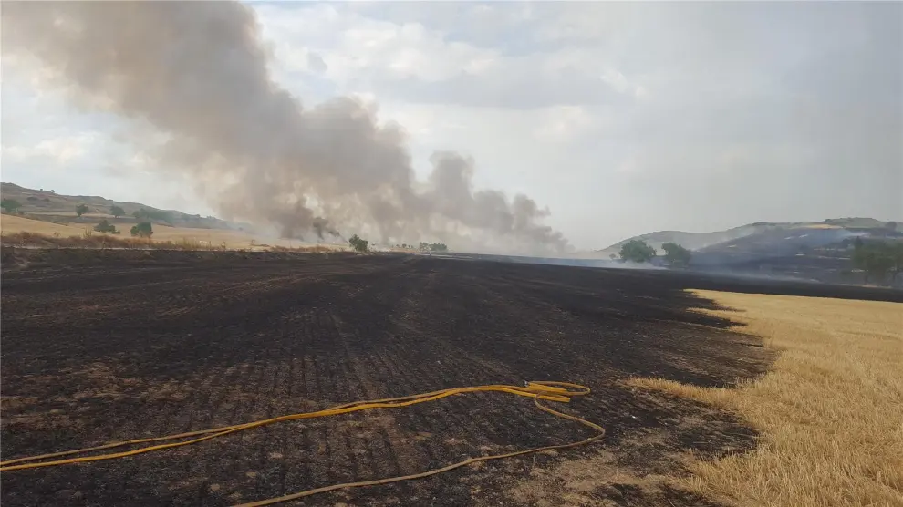 Un incendio arrasa unas 35 hectáreas de campo en Almudévar