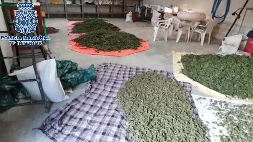 La Policía Nacional interviene cinco toneladas y media de marihuana y desarticula una organización dedicada a su cultivo a gran escala
