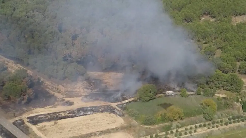 Un incendio calcina 4.500 metros cuadrados de pinar en el municipio de Almuniente