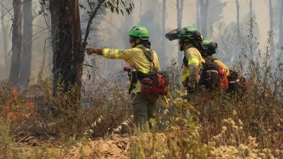 Estabilizado el incendio forestal de Huelva que ha afectado a 10.000 hectáreas