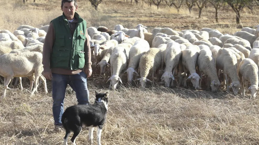 José Luis Grasa: "Si cuidas las ovejas, te van a dar, y con mejora genética, mucho más"