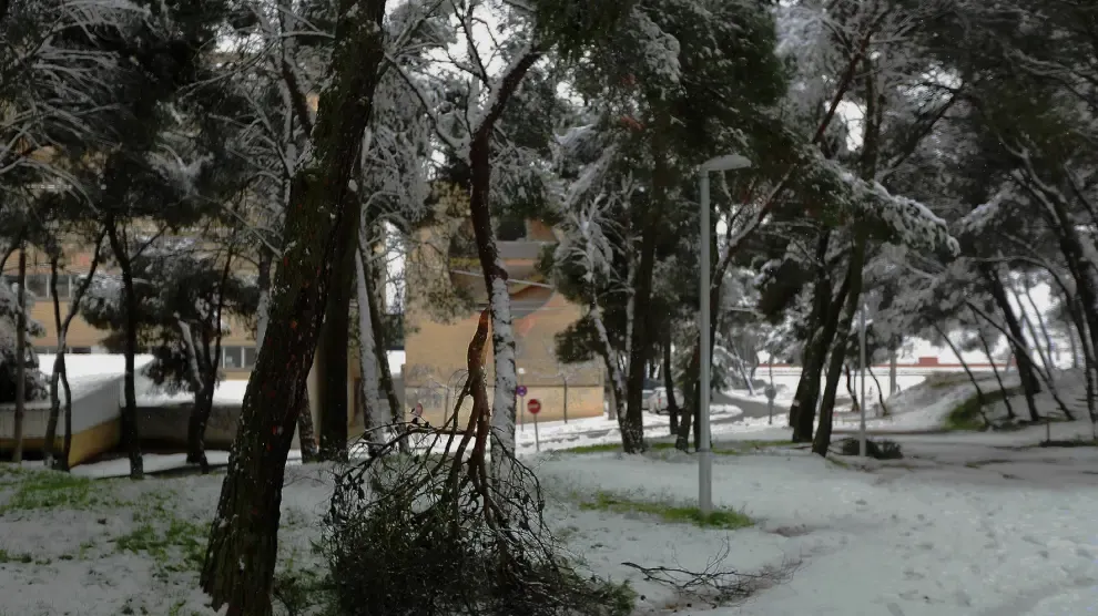 El Ayuntamiento de Huesca cierra finalmente todos los parques y zonas arboladas de la ciudad