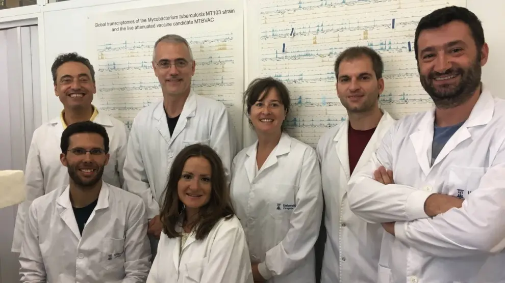 Investigadores de la Universidad de Zaragoza demuestran la capacidad terapéutica de vacunas vivas de tuberculosis frente al asma