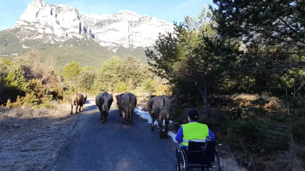 Beatriz Broto: De vaquera con un dron desde una silla de ruedas por los campos de Sobrarbe