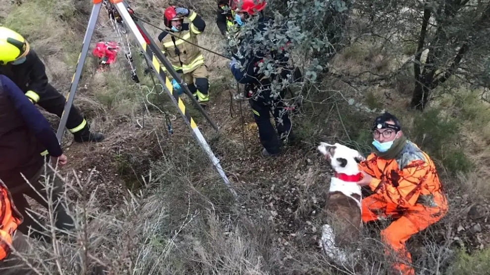 Rescatado un podenco que participaba en una batida en Secastilla tras una caída de diez metros
