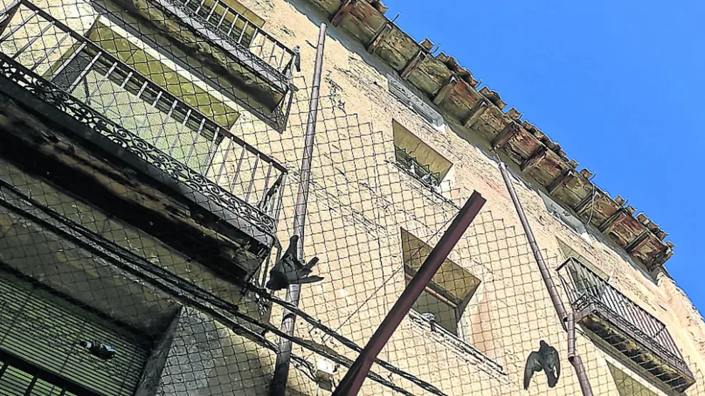 Palomas fallecidas sobre la red de uno de los edificios de la plaza de San Pedro.