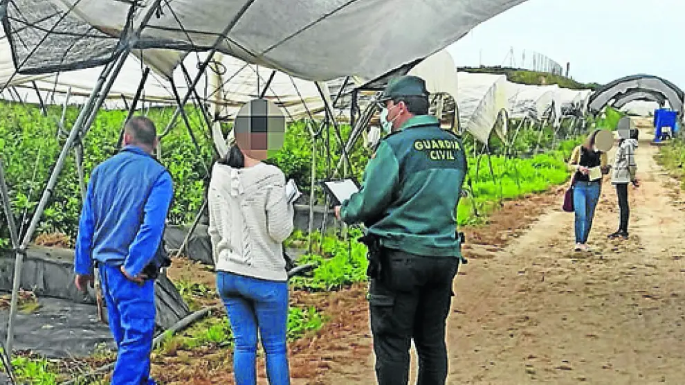 Investigación llevada a cabo por la Guardia Civil en las instalaciones de una explotación agraria.