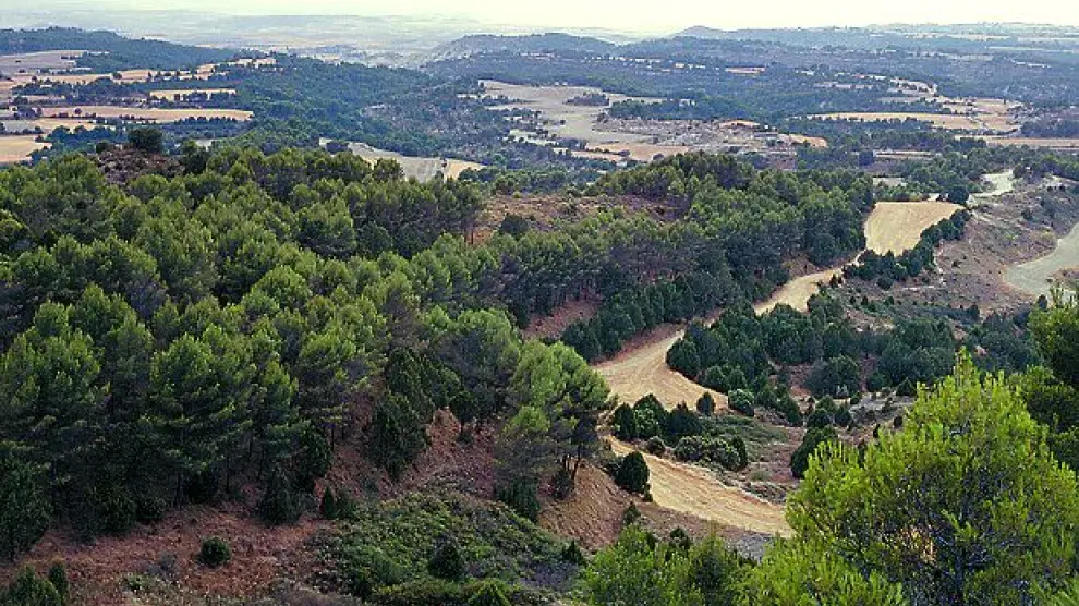 Sierra de Alcubierre