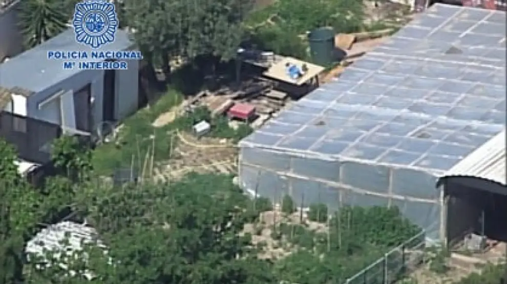 Vista aérea de uno de los invernaderos en los que se cultivaba la droga.
