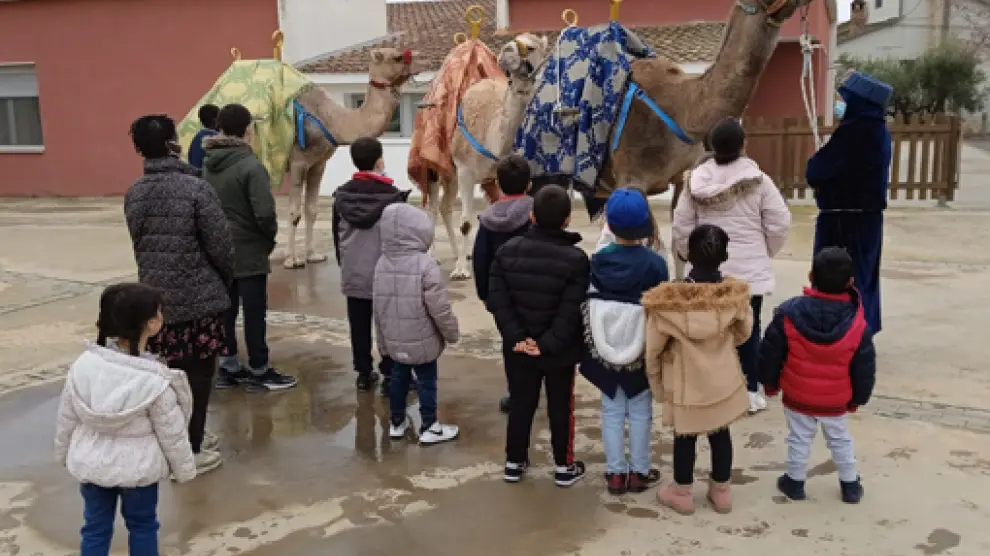 Los camellos de los Reyes Magos han hecho las delicias de los escolares