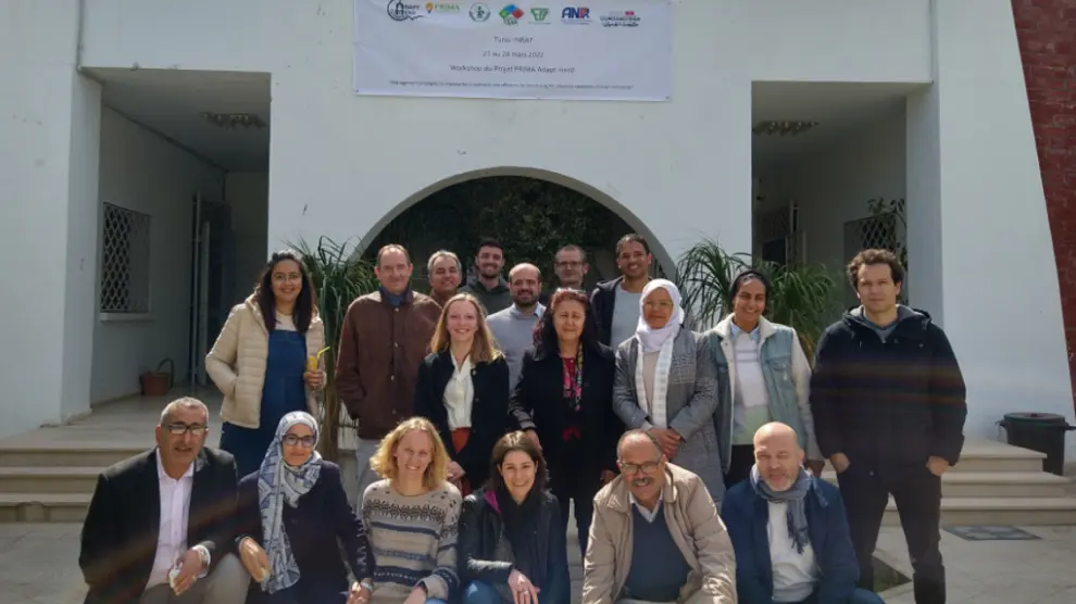 Investigadores de varios países que participan en el proyecto Adapt-Herd en su presentación en Túnez.