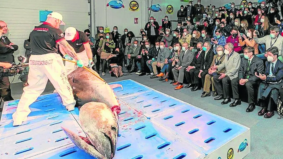 Imagen del ronqueo de un atún rojo de más de 300 kg, el pasado lunes en La Coruñesa.