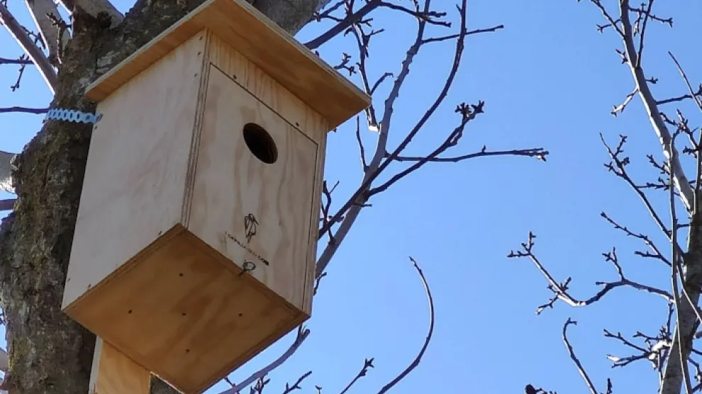 Una de las cajas nido instaladas en el entorno del Centro de Investigación y Experimentación en Truficultura de Graus.