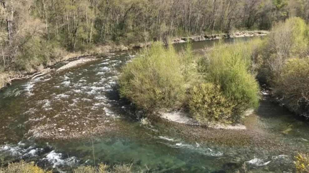 Un meandro del río Aragón.