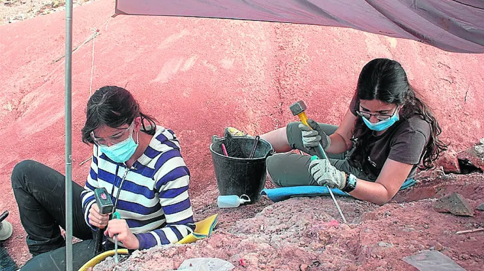 Paleontólogas excavan en el yacimiento de Santa Marina.