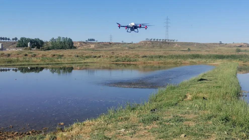 Un dron sobrevuela terrenos de cultivo en la comarca de Los Monegros.