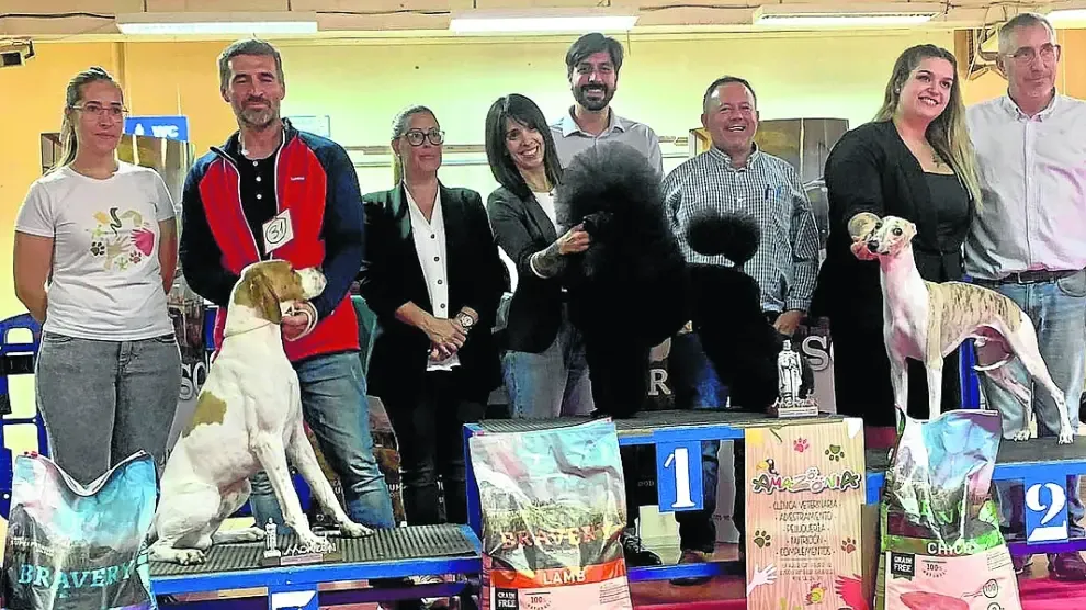 Ganadores del VI Concurso Nacional de Belleza Canina “Ciudad de Monzón”.