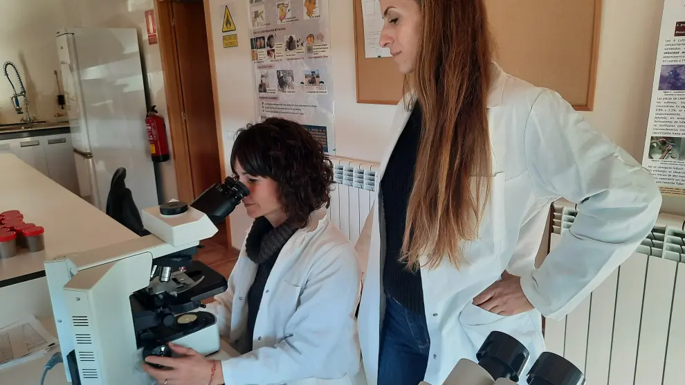Chela Puig-Pey y Eva Gómez, que forman la plantilla del CEIT de Graus, en el laboratorio.