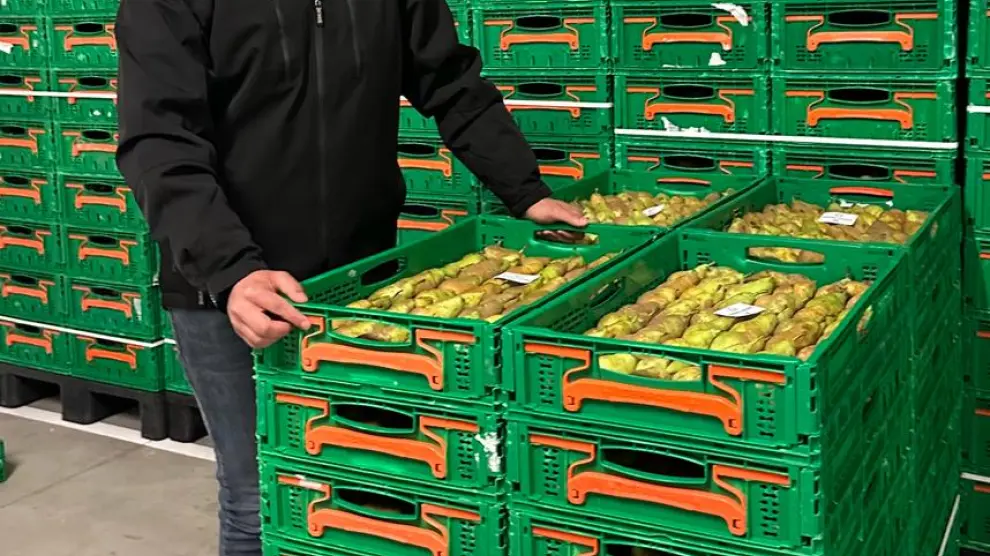Marc Vendrell, en la empresa Torre Molins dedicada a comercializar fruta.