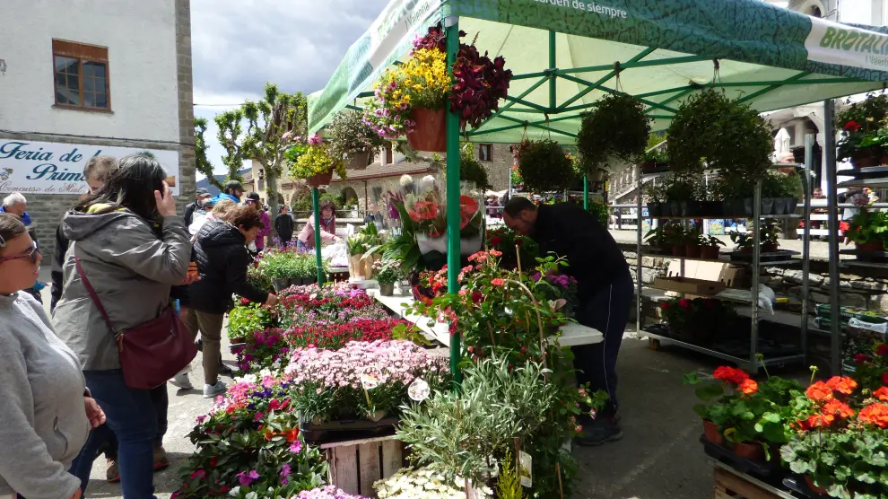 Los coloristas puestos de plantas se colocaron por el casco urbano de Biescas.