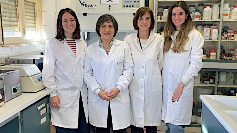 Inés Abad, Mª Lourdes Sánchez, Mª Dolores Pérez y Dimitra Graikini, investigadoras del proyecto.