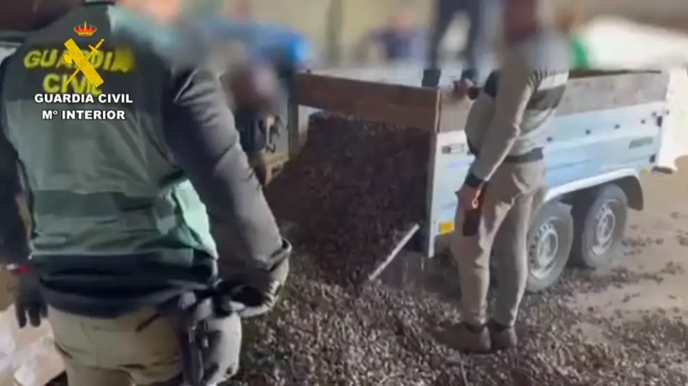 Captura tomada de la operación de la Guardia Civil por el supuesto delito de hurto de 3.000 kilos de almendras