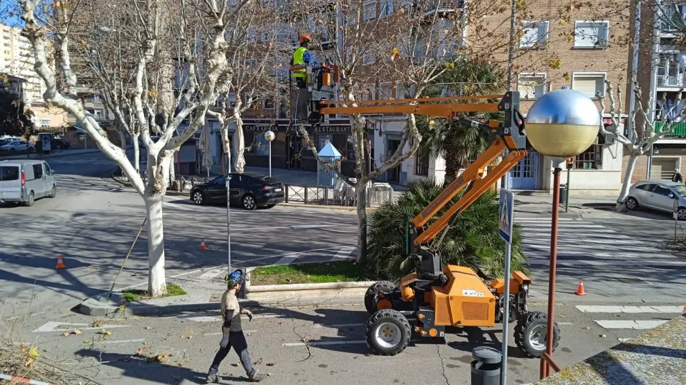Trabajos recientes de poda en la calle del Parque junto a la plaza Luis Buñuel.