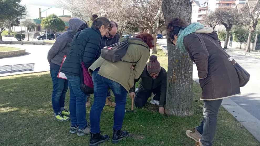 Una de las clases prácticas de la formación que han recibido los trabajadores municipales en un jardín de Sabiñánigo.