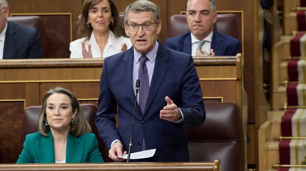 El presidente del PP, Alberto Núñez Feijóo, interviene durante una sesión de control al Gobierno, en el Congreso de los Diputados.