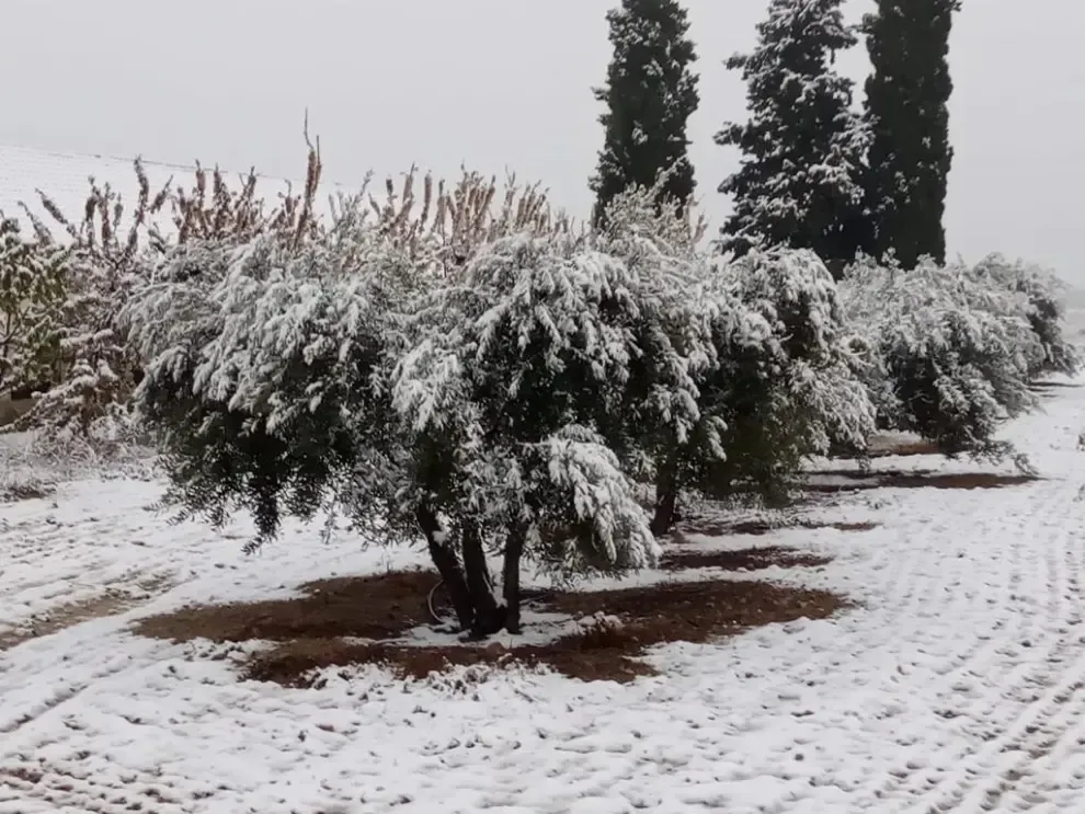 Nieve en la provincia de Huesca este martes 31 de marzo