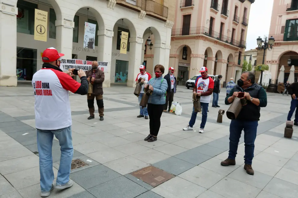 El acto reivindicativo ha tenido lugar en la plaza de López Allué de la capital altoaragonesa.