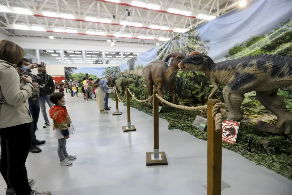 Dinosaurios en el Palacio de Congresos de Huesca.