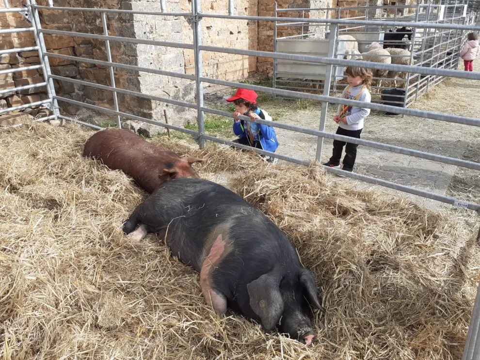 Cross, degustaciones, ventas, exposiciones y mucha animación en la jornada del domingo.