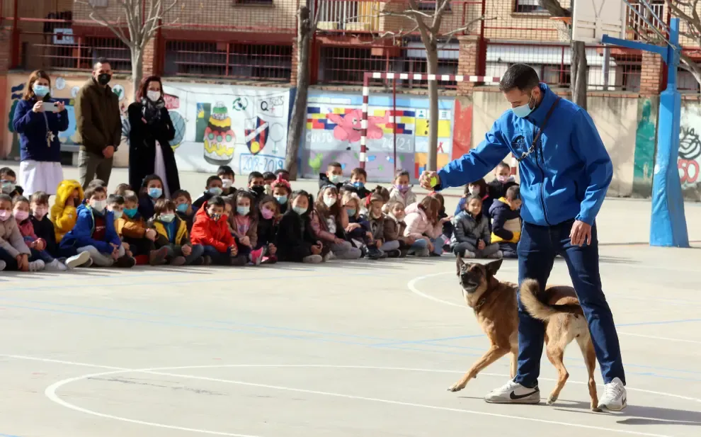 Ona y Neo demostrando sus habilidades para detectar droga ante los alumnos del colegio de San Viator, en Huesca


demostracion perro san viator policia municipal
 foto pablo segura
31 - 13 - 22
 foto pablo segura
31 - 13 - 22