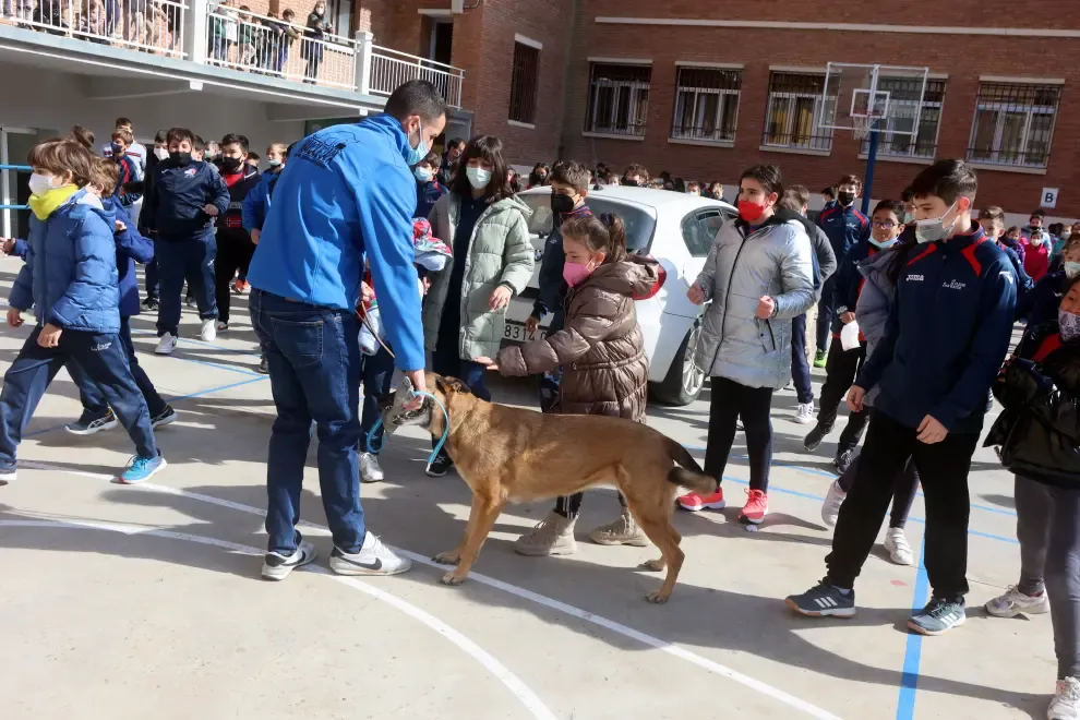 Ona y Neo demostrando sus habilidades para detectar droga ante los alumnos del colegio de San Viator, en Huesca


demostracion perro san viator policia municipal
 foto pablo segura
31 - 13 - 22
 foto pablo segura
31 - 13 - 22